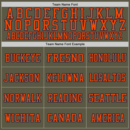 Custom Olive Orange-Navy Mesh Authentic Throwback Salute To Service Football Jersey